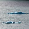 Spitzbergen Album